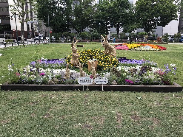 ２０１８年度札幌大通り公園夏花壇