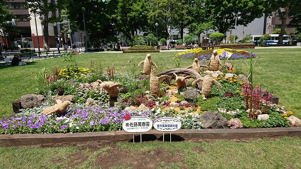 ２０１９年度札幌大通り公園夏花壇