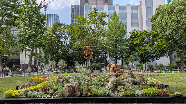 ２０２５年度札幌大通り公園夏花壇