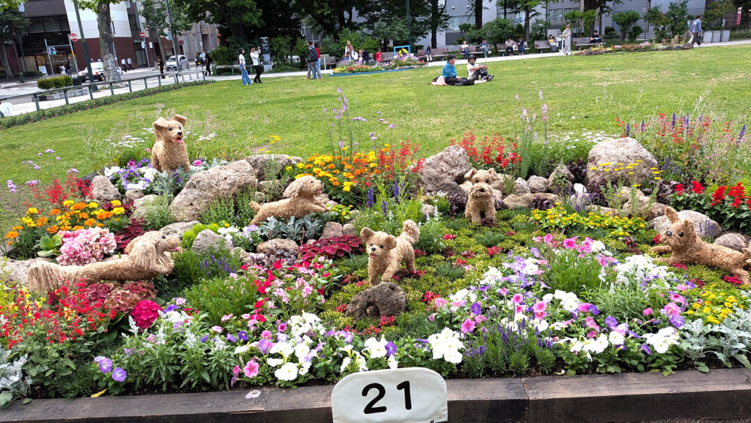 ２０２６年度札幌大通り公園夏花壇