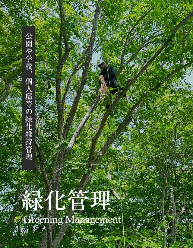 緑化管理：公園や学校、個人邸などの緑化維持管理